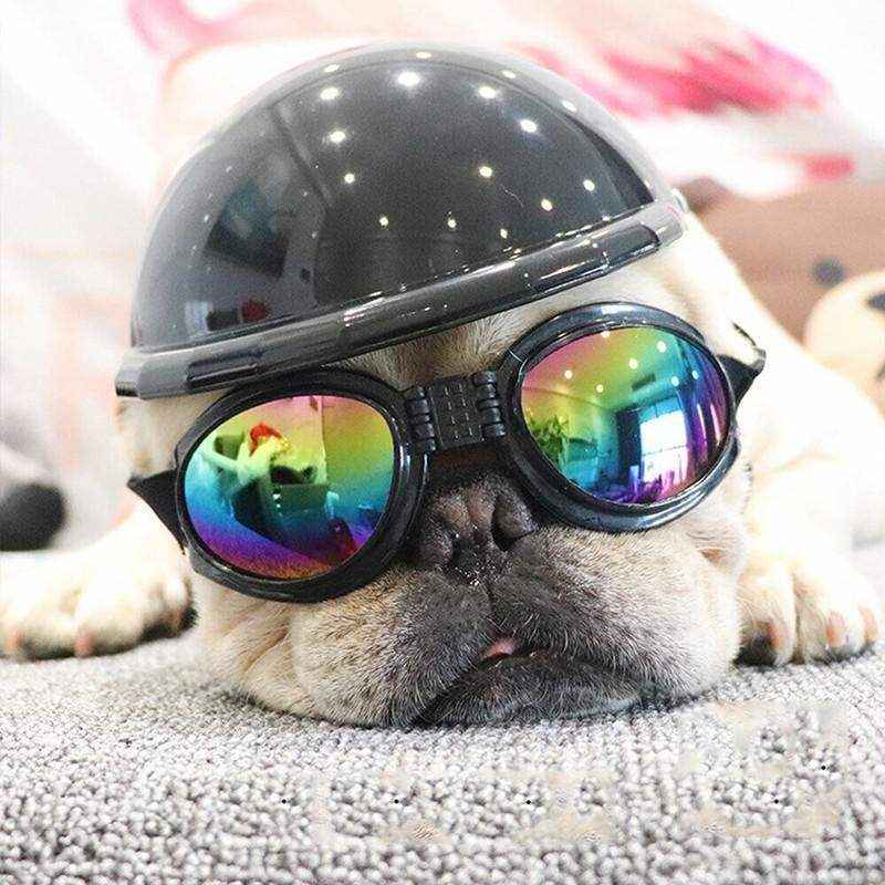 Protection Pet Dog Goggles - Image 3