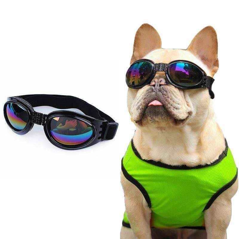 Protection Pet Dog Goggles - Image 9