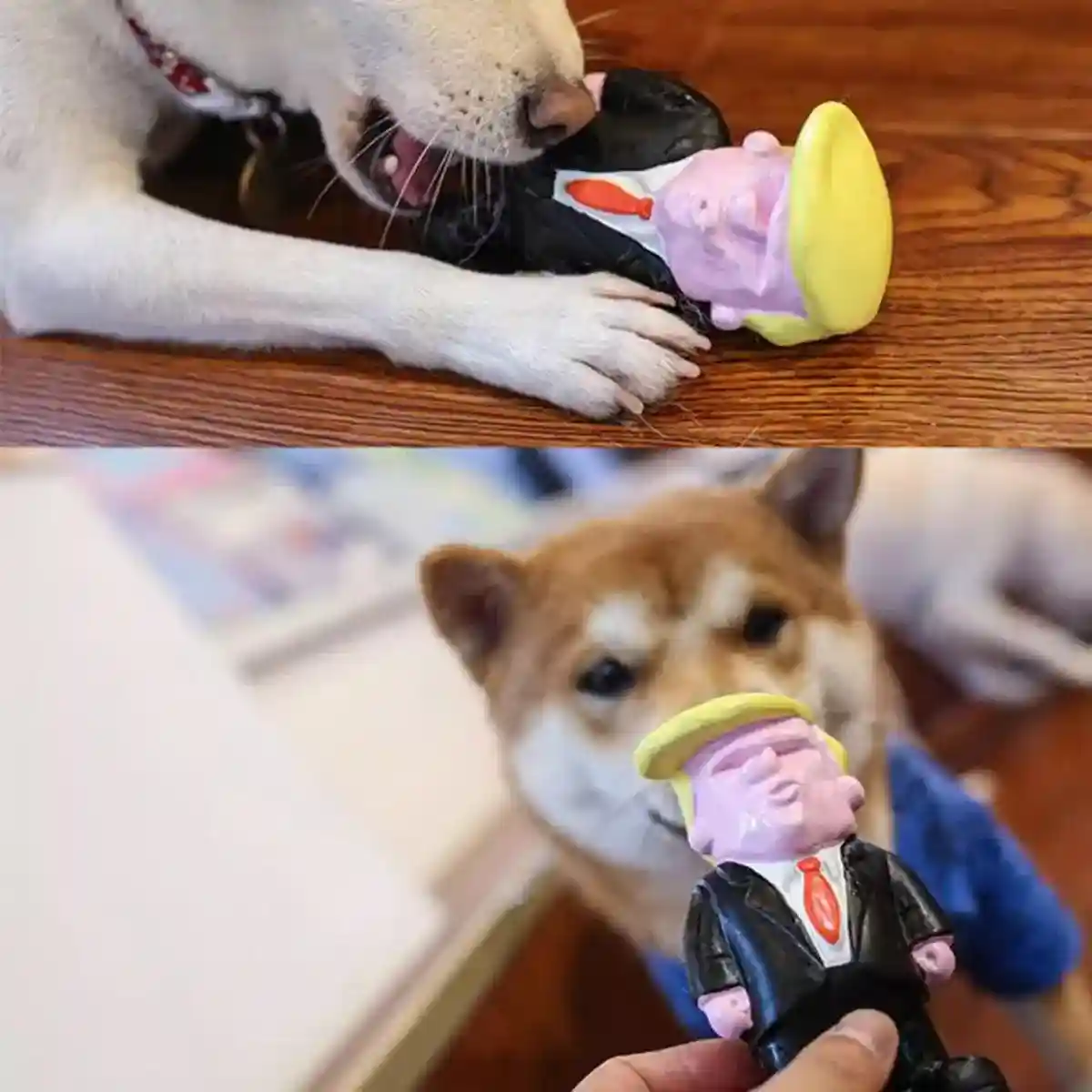 Interactive Squeaky Puppy Chew Toys Durable Latex Dog Teething Toy - Image 6