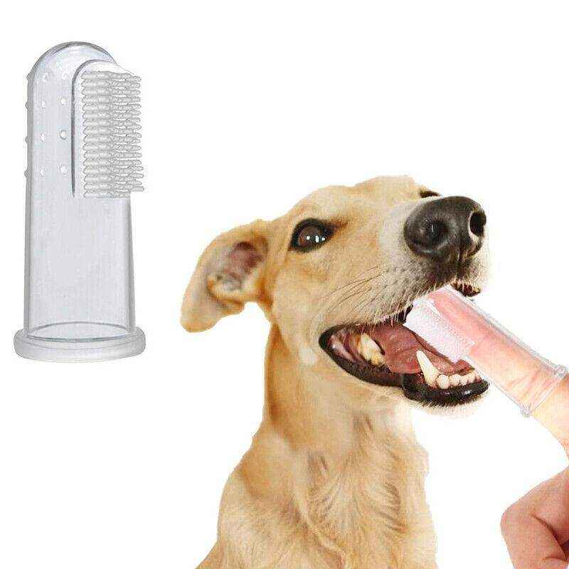 10X Soft Finger Toothbrush for Dogs Puppy Toothbrush - Image 2