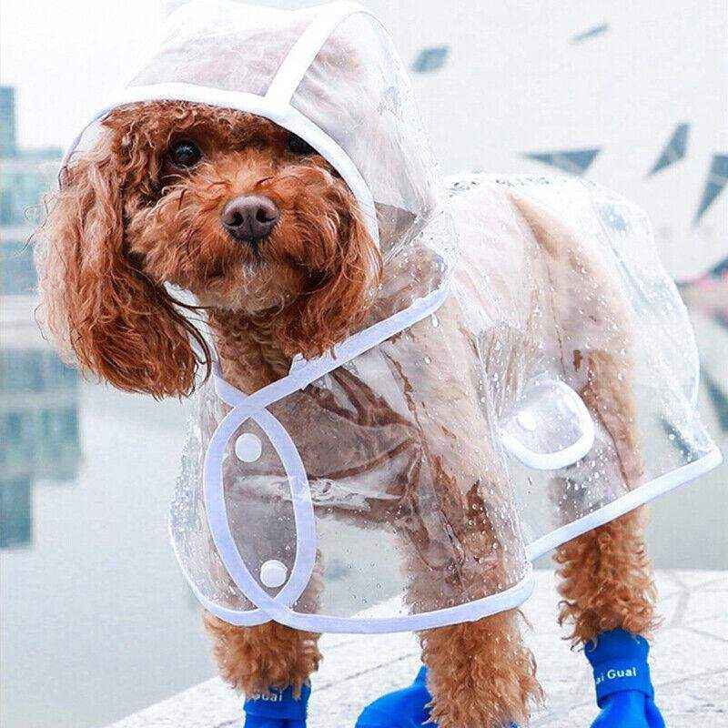 Puppy Waterproof Raincoat - Image 10
