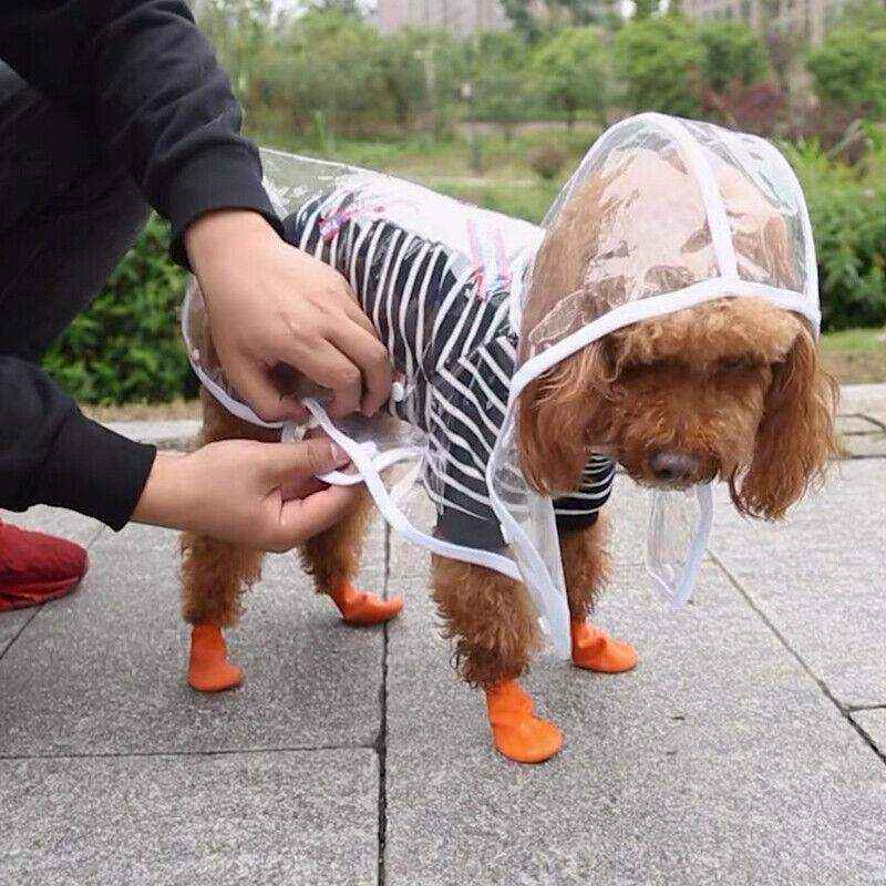 Puppy Waterproof Raincoat - Image 6