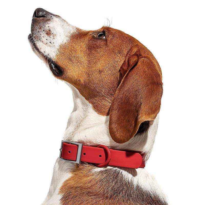 PVC Waterproof Dog Collar Designer Dog Collars Red - Image 9
