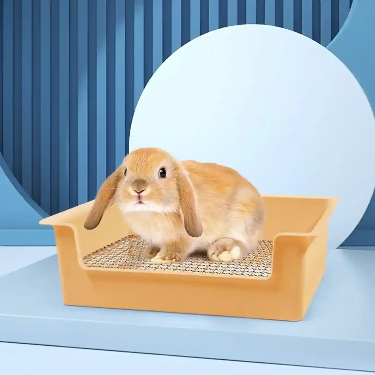 Hygienic Cage Setup with Stainless Grid Rabbit Litter Box - Image 3