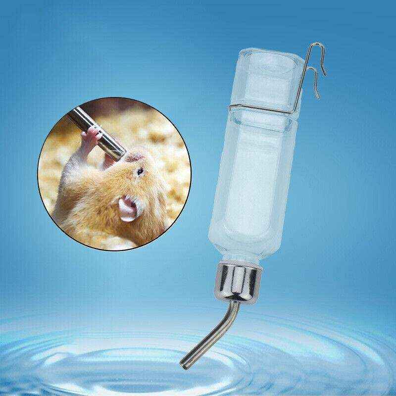 1PC Hamster Rabbit Water Bottle Feeder 350ml - Image 3