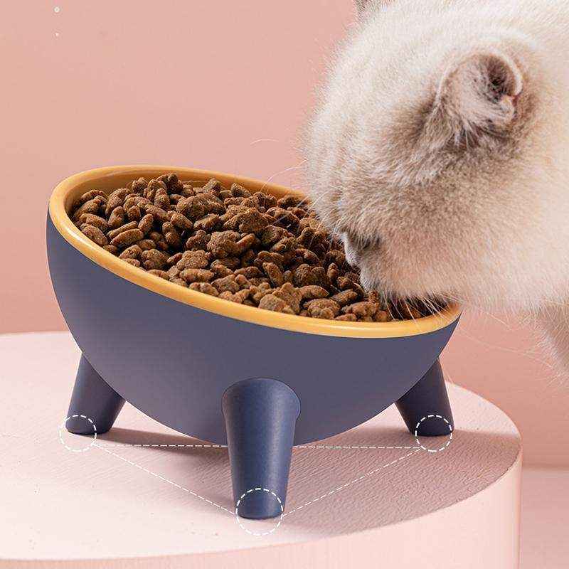 Dog Bowl 15° Tilted 4 Colours 350ml - Image 11