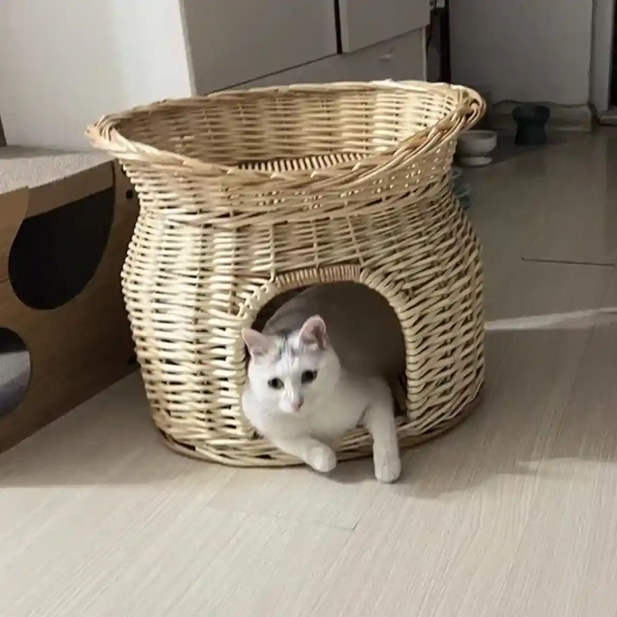 Rattan Cat House Double-Layer Design for Comfort and Privacy - Image 7