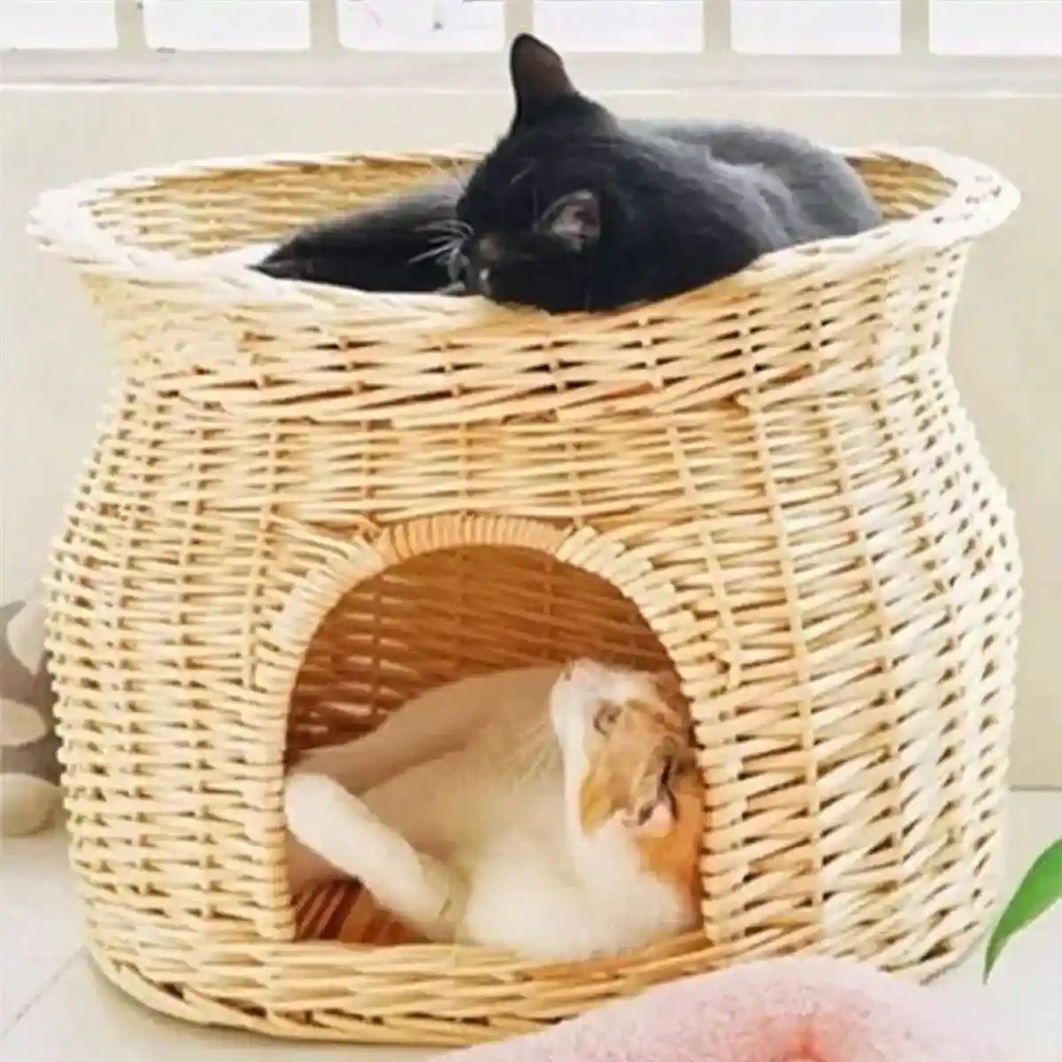 Rattan Cat House Double-Layer Design for Comfort and Privacy - Image 8