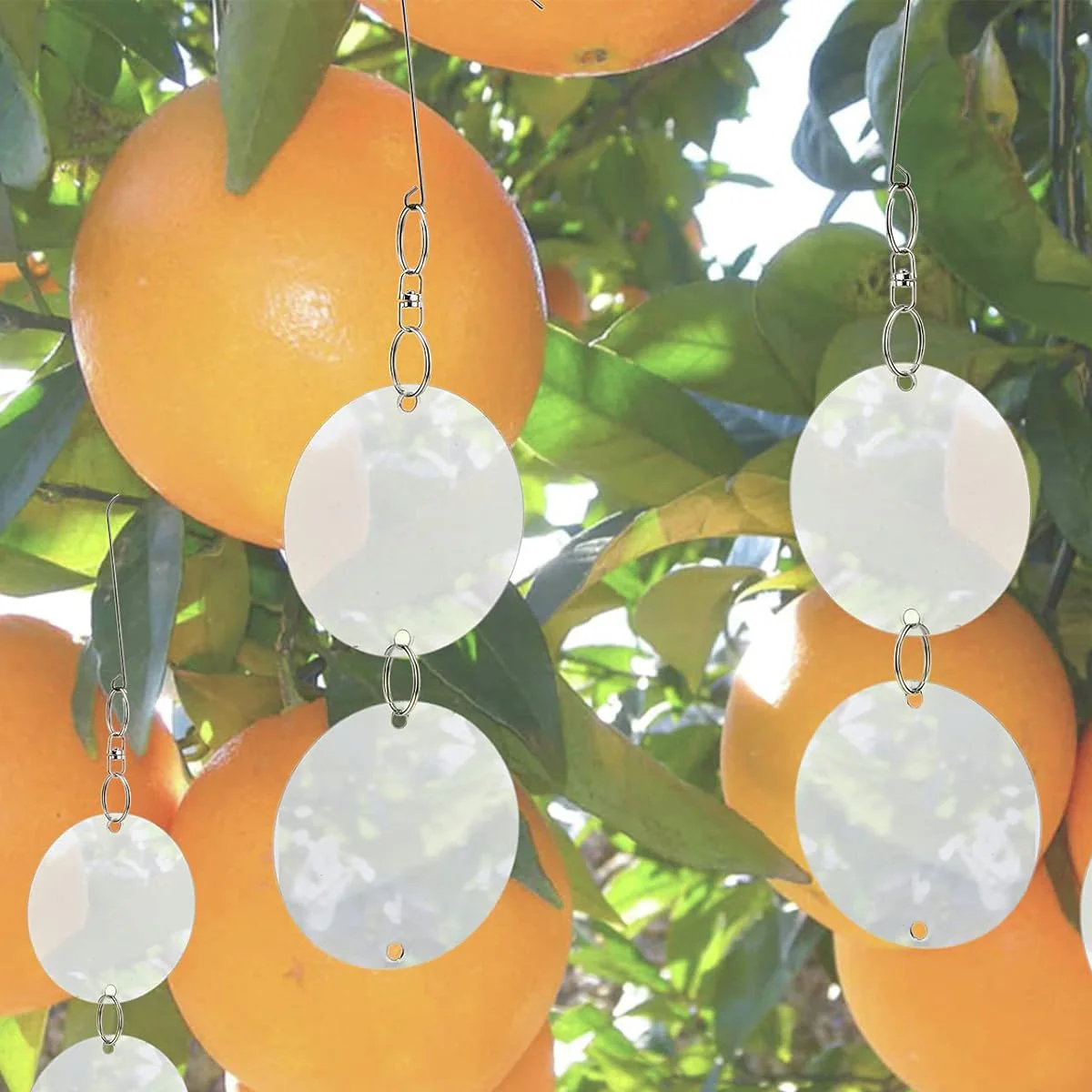 Reflective Bird Deterrent Discs Set Hanging Garden Protection - Image 16