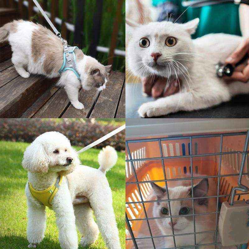 Pet Dog Harness Adjustable Reflective Breathable Outdoor Collars Strap Cat Leash - Image 10