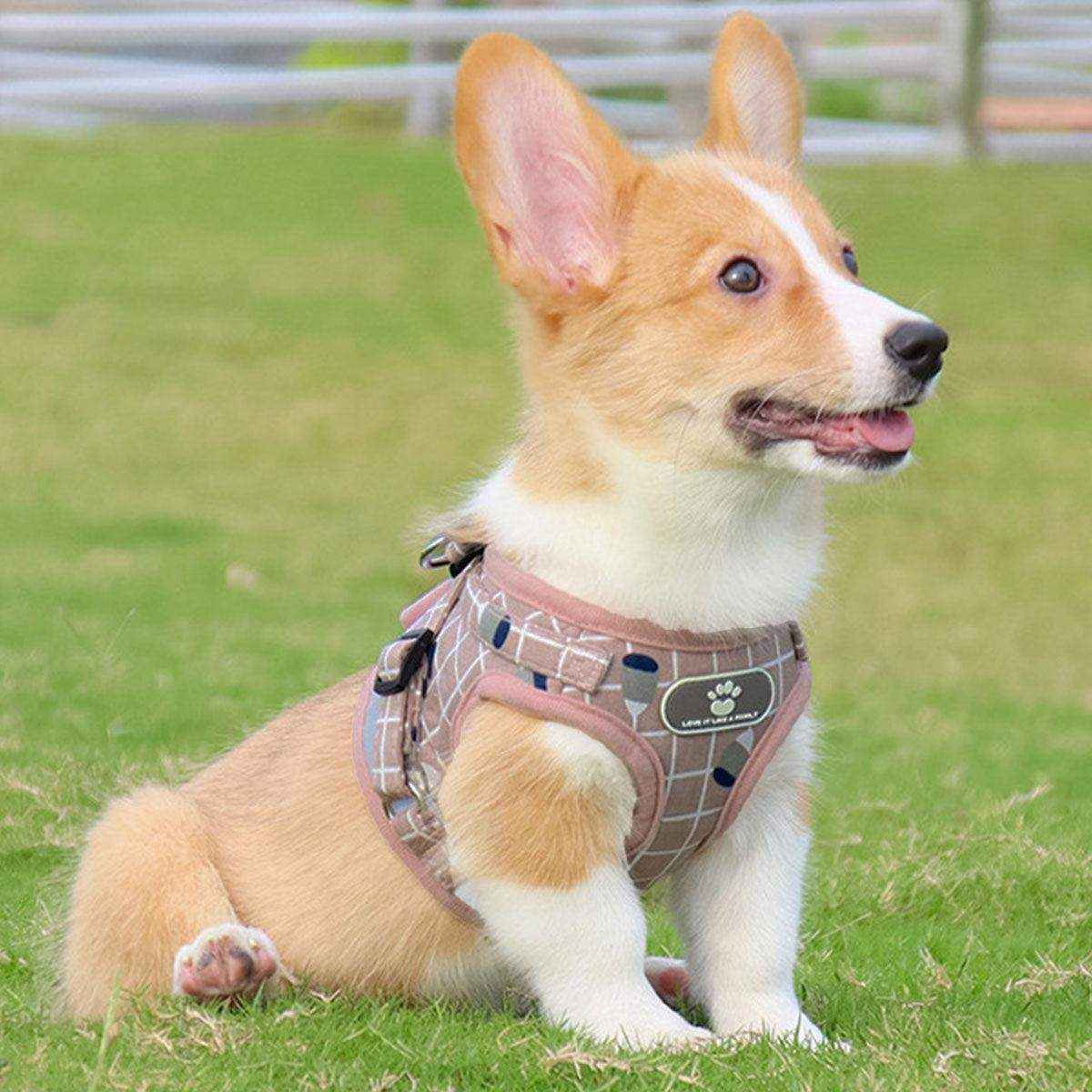 Adjustable Mesh Pet Vest Harness & Leash Cat Dog Kitten Walk Collar - Image 14