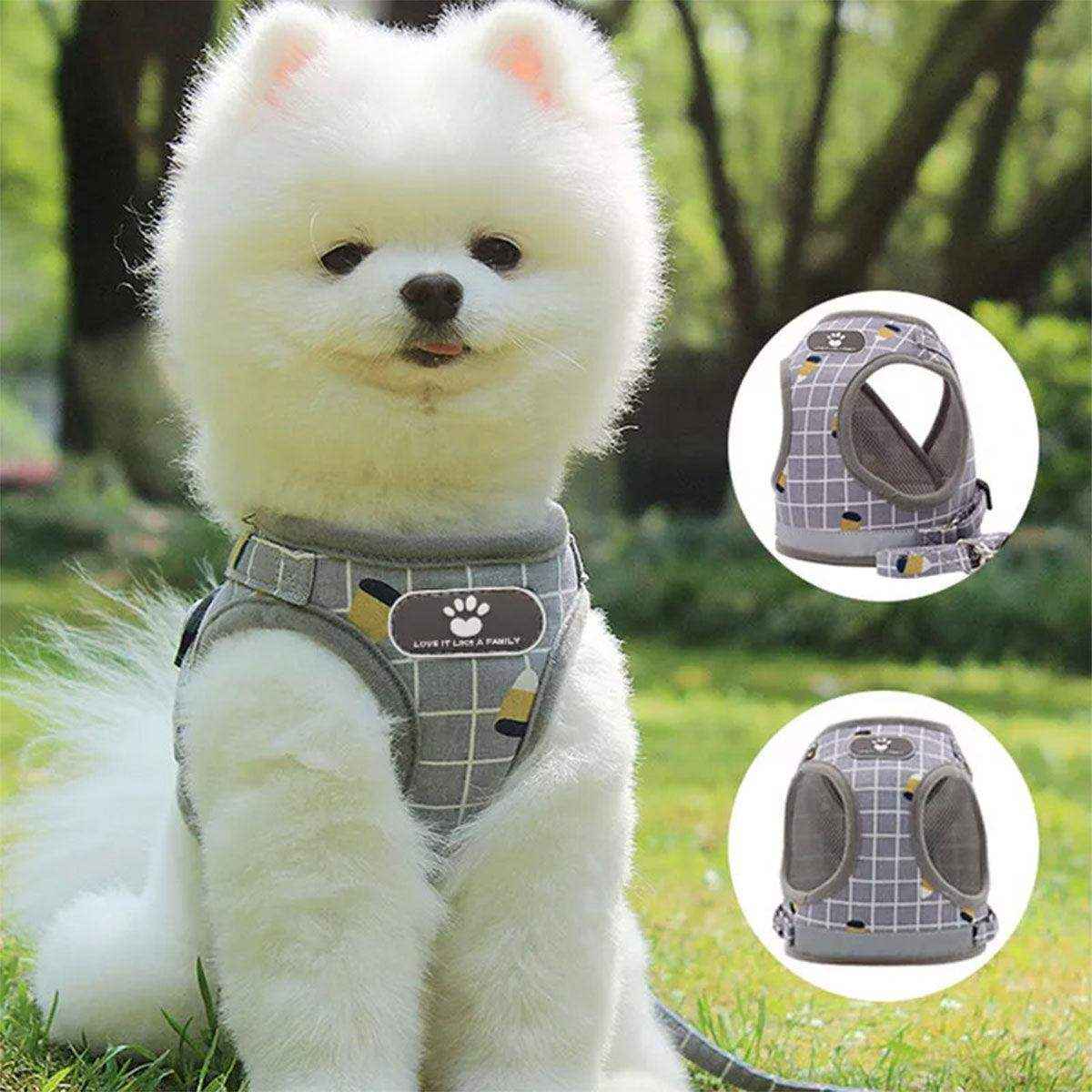 Adjustable Mesh Pet Vest Harness & Leash Cat Dog Kitten Walk Collar - Image 3