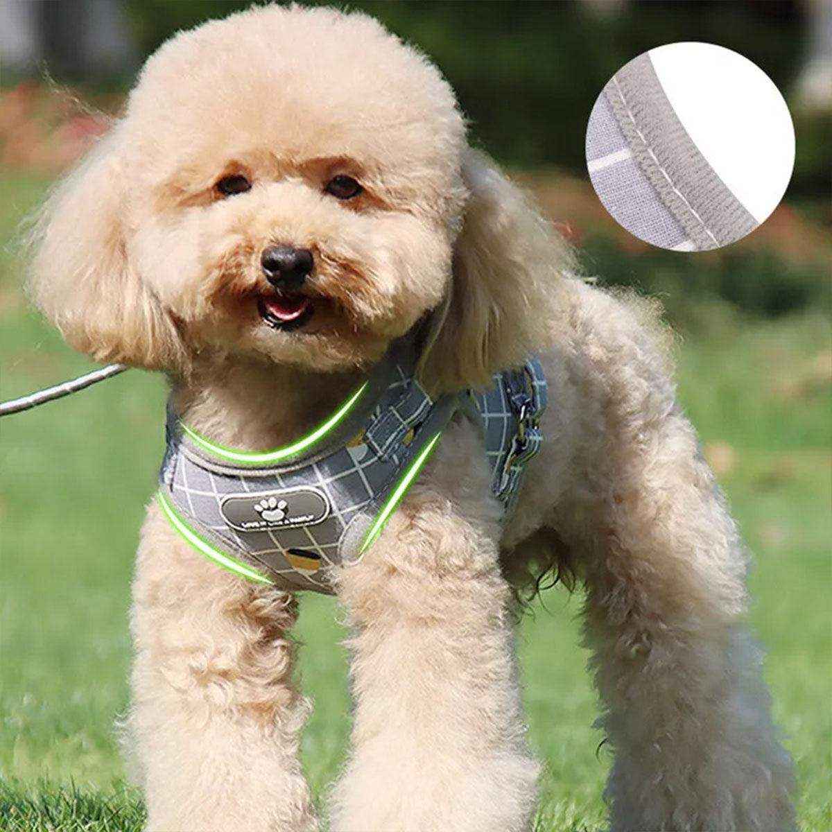Adjustable Mesh Pet Vest Harness & Leash Cat Dog Kitten Walk Collar - Image 4