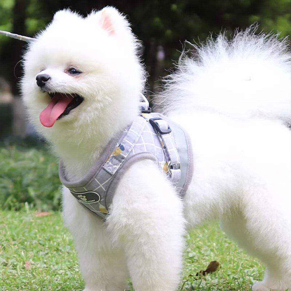 Adjustable Mesh Pet Vest Harness & Leash Cat Dog Kitten Walk Collar - Image 5