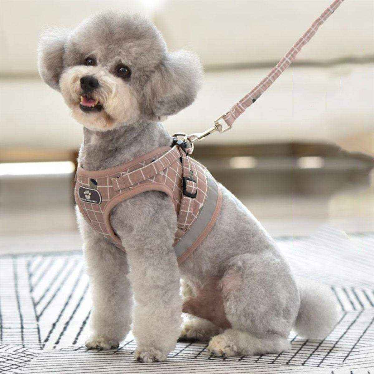 Adjustable Mesh Pet Vest Harness & Leash Cat Dog Kitten Walk Collar - Image 7