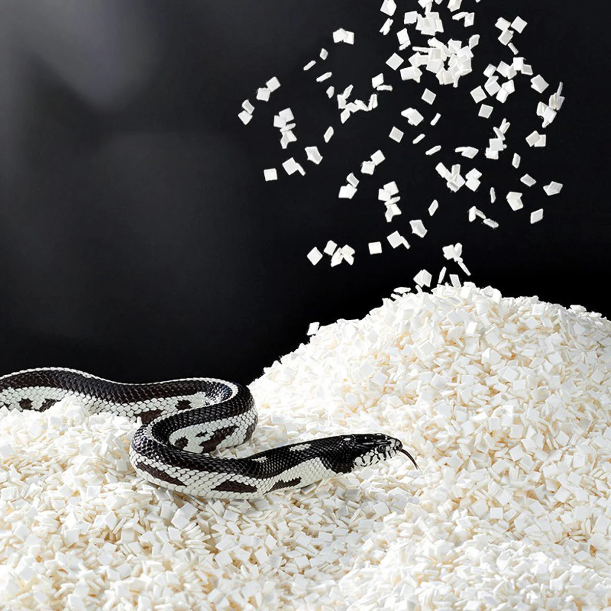 Reptile Bedding Blocks for Snake Tank Substrate - Image 6
