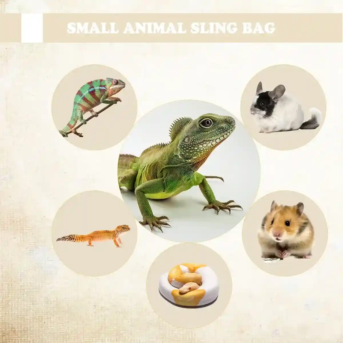 Stylish Reptile Carrier Bag with Leopard Print Travel Sling for Lizards - Image 10