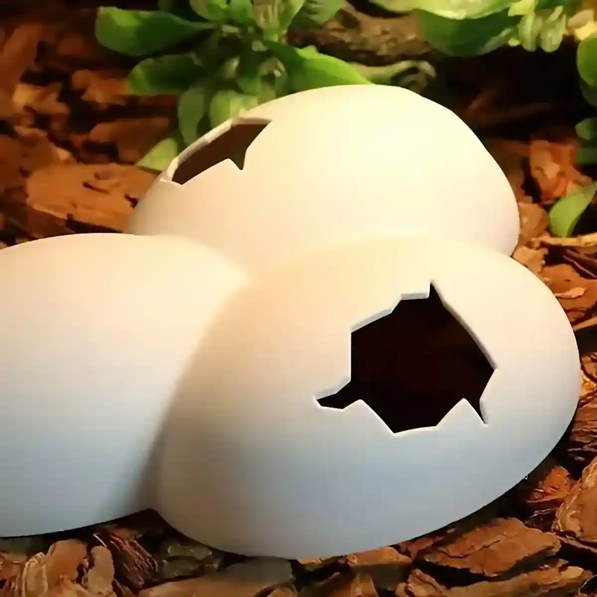 Natural Reptile Cave Hideout for Lizards and Terrarium Pets - Image 11