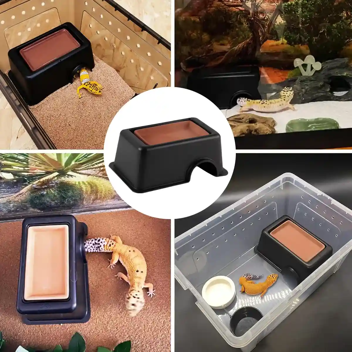 Reptile Cave Moist Humid Shelter for Leopard Gecko & Small Pets - Image 10