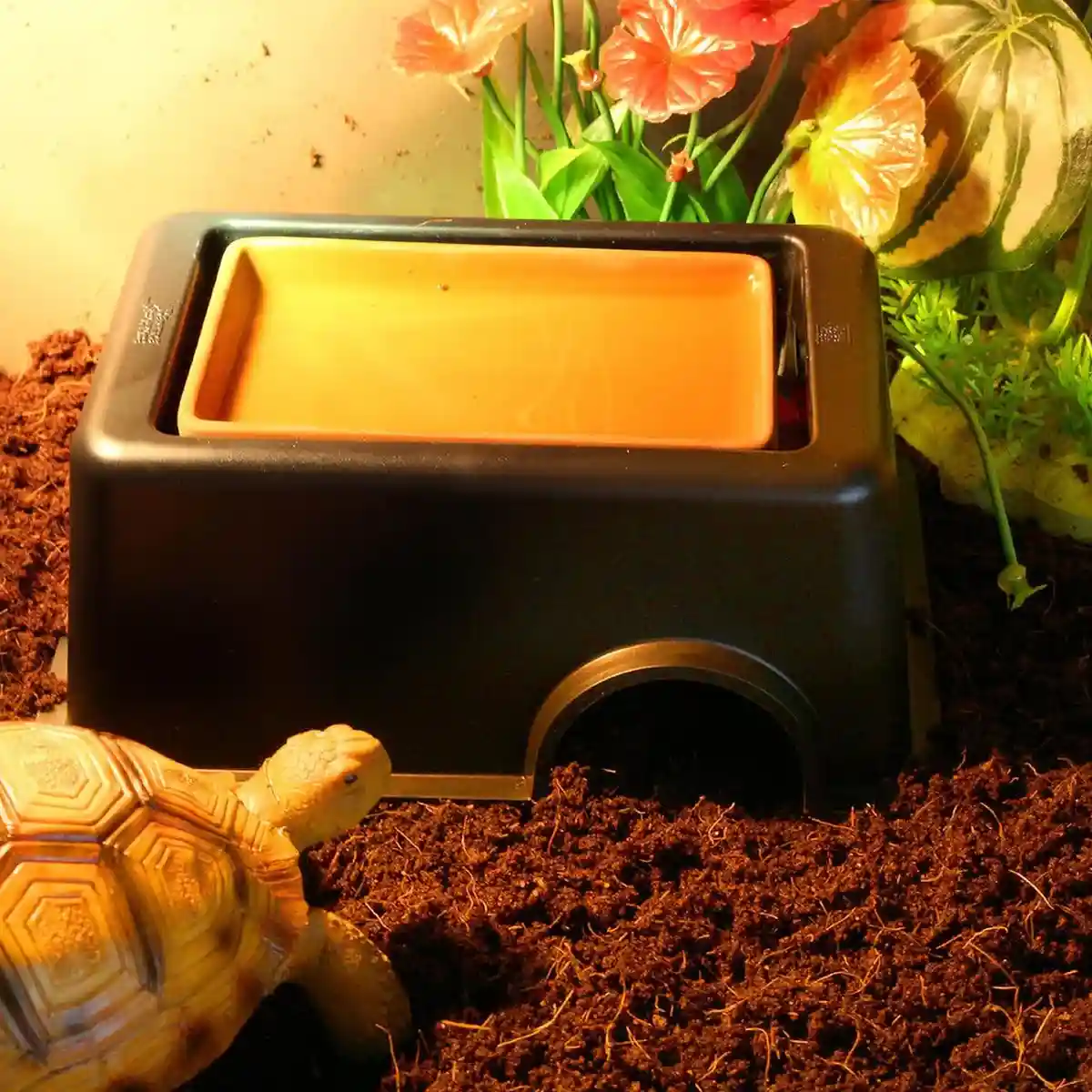 Reptile Cave Moist Humid Shelter for Leopard Gecko & Small Pets - Image 12