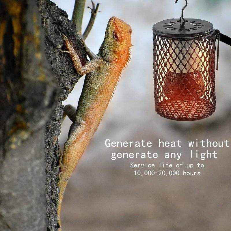 Reptile Ceramic Heat Lamp with Anti-hot Cage - Image 9