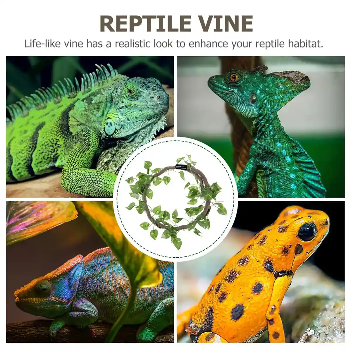 Reptile Climbing Branch with Suction Cups Realistic Jungle Decor for Terrariums - Image 7