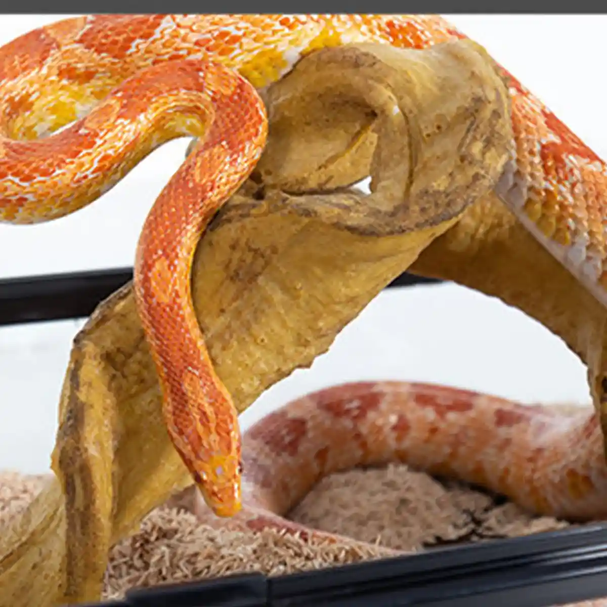 Flexible Reptile Climbing Vine 60cm PU Simulation Branch for Terrarium - Image 11