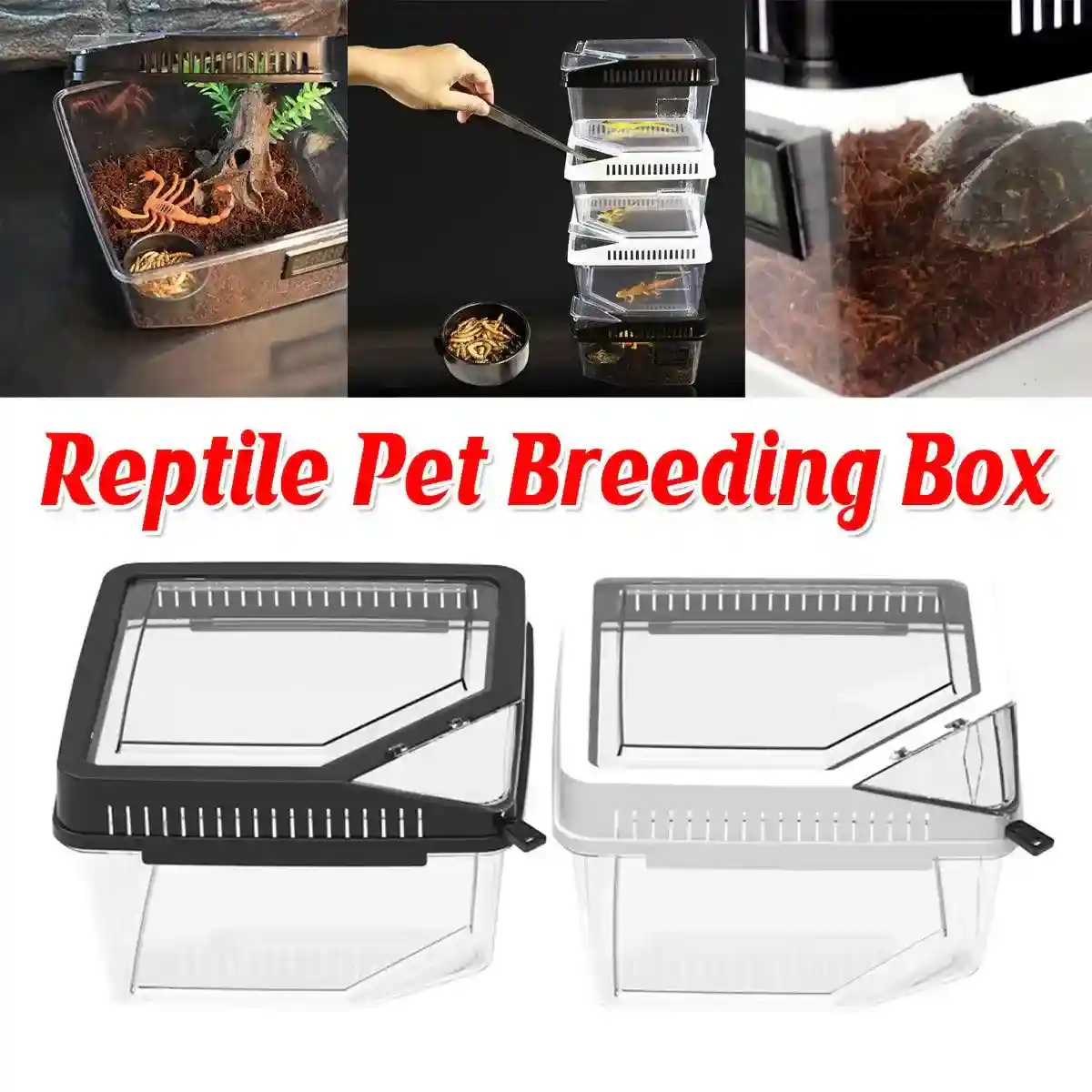 Clear Reptile Feeder Box With Locking Lid & Thermometer Slot - Image 2