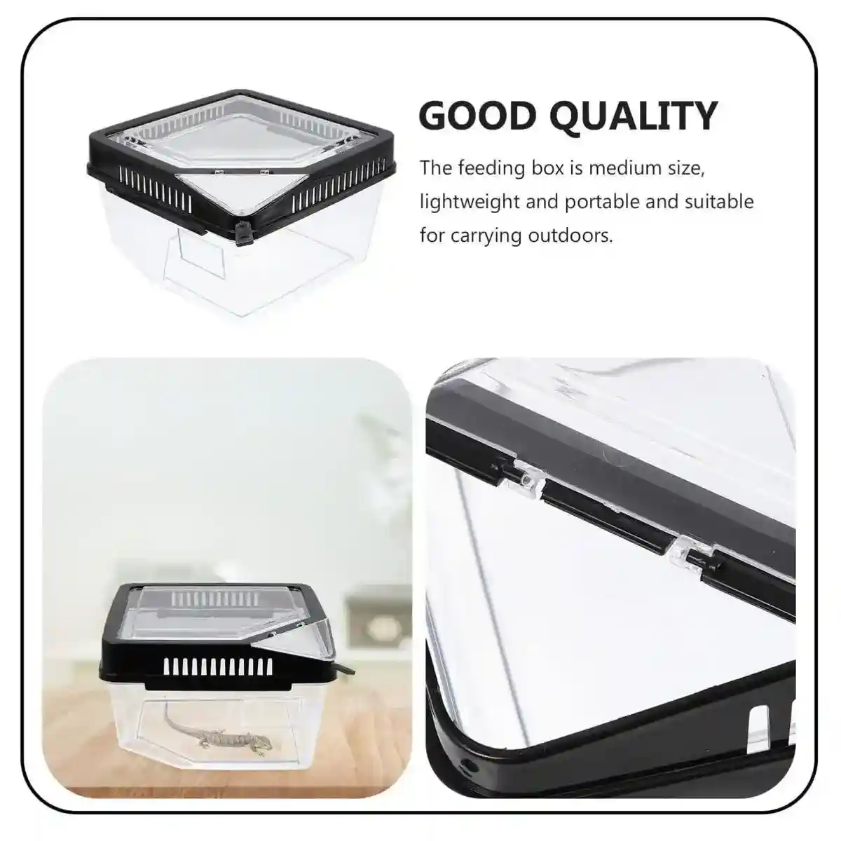 Clear Reptile Feeder Box With Locking Lid & Thermometer Slot - Image 8
