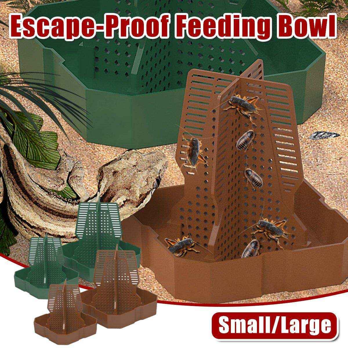 Reptile Feeding Basin with Anti-Escape Design - Image 2