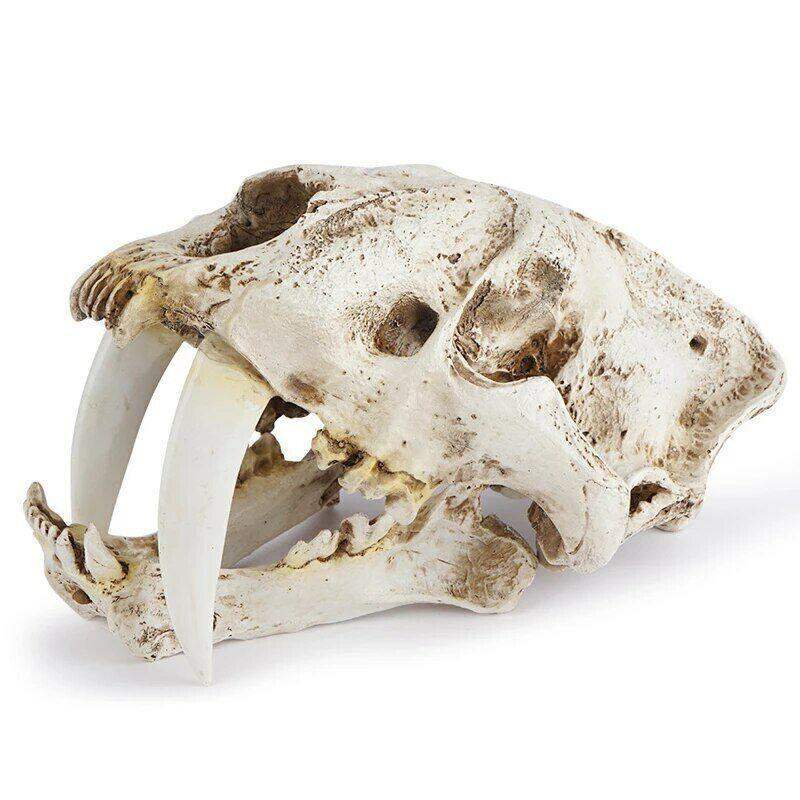 Fish Tank Saber Tooth Tiger Skull Hide Ornament - Image 2