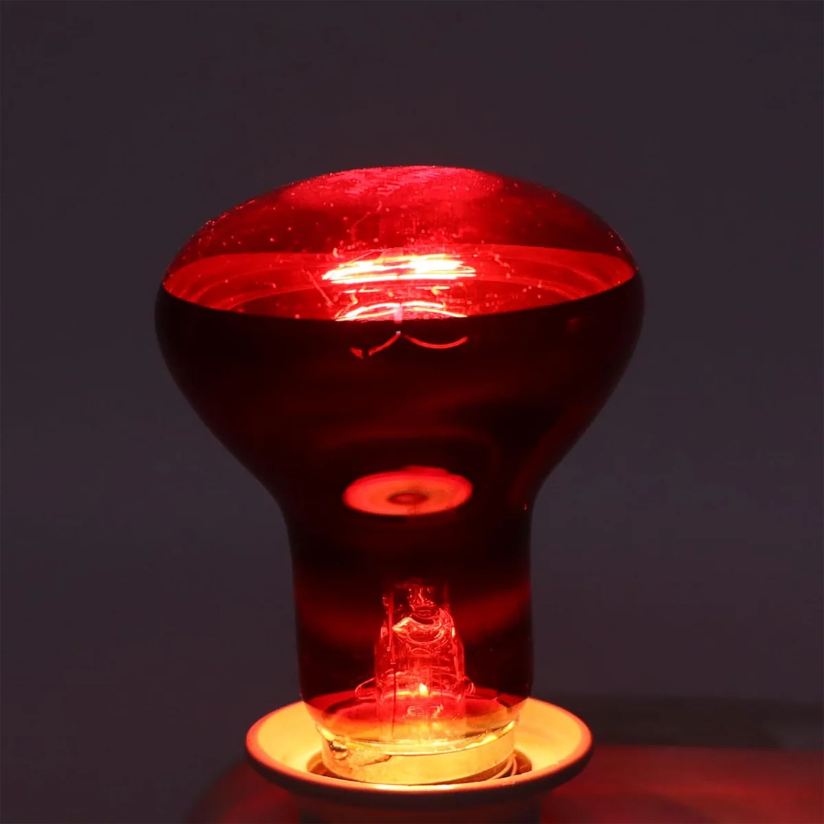 Reptile Heat Lamp Red Infrared Terrarium Heating Bulb - Image 14