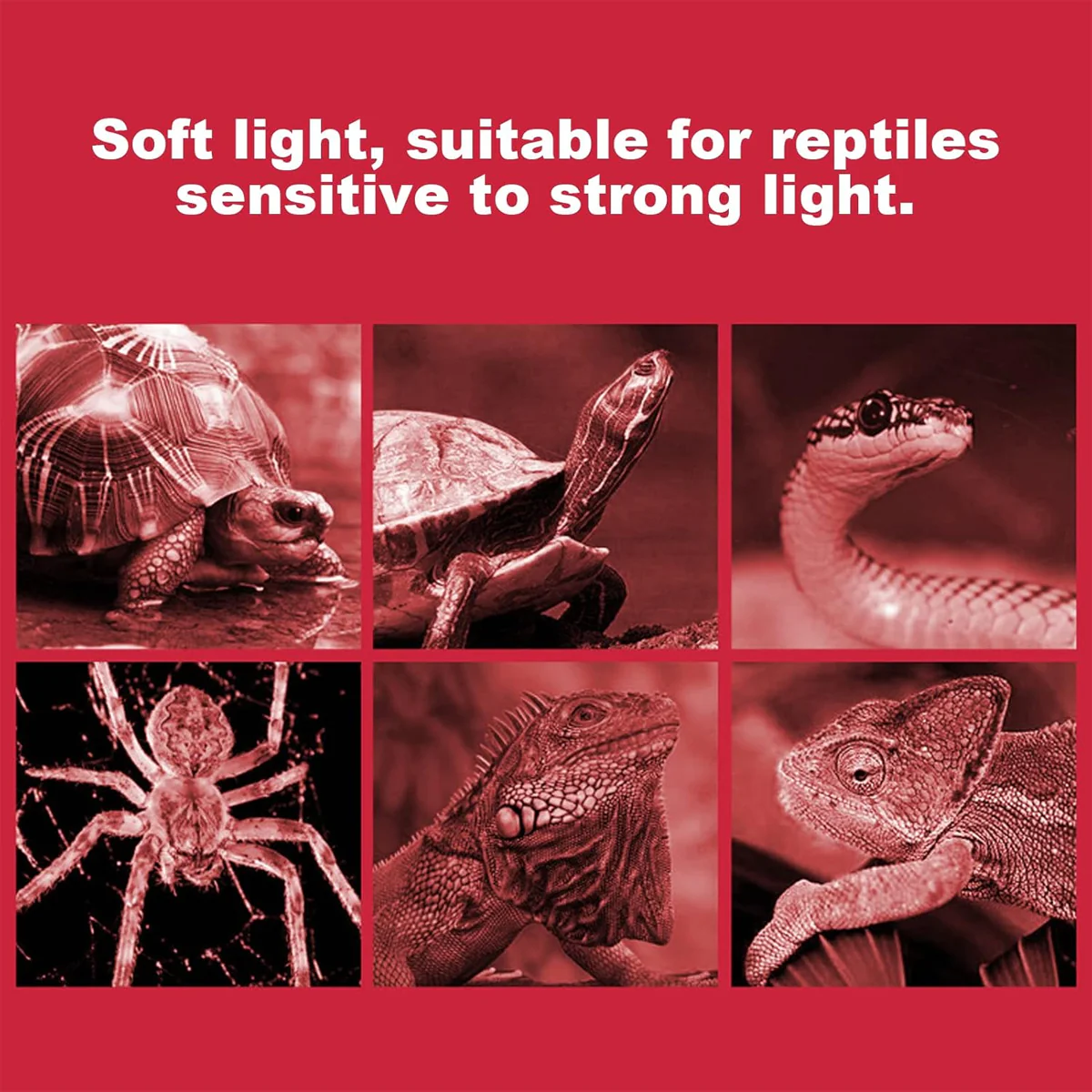 Reptile Heat Lamp Red Infrared Terrarium Heating Bulb - Image 4