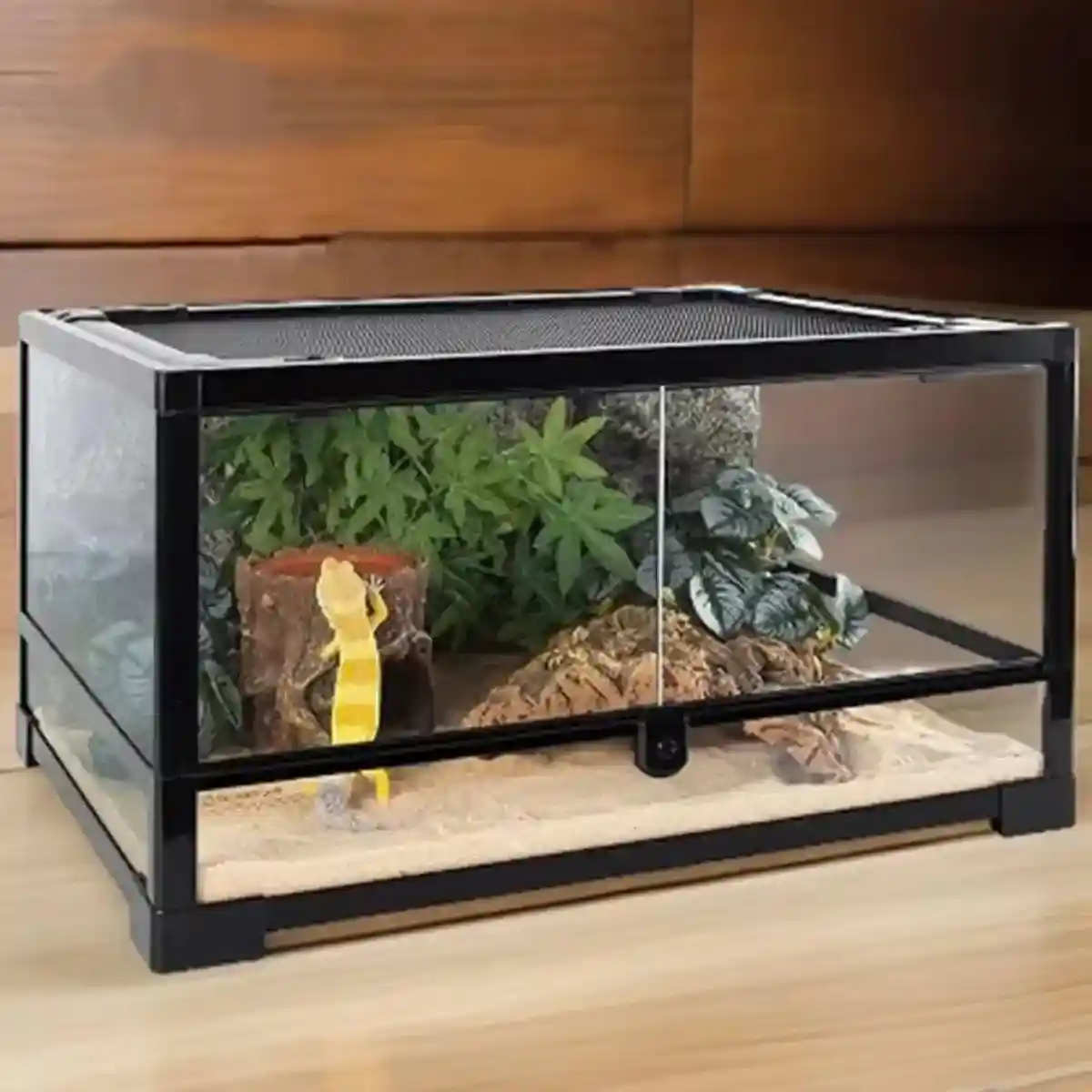Reptile Hideaway Cave with Humidity Dish for Geckos & Small Reptiles - Image 15