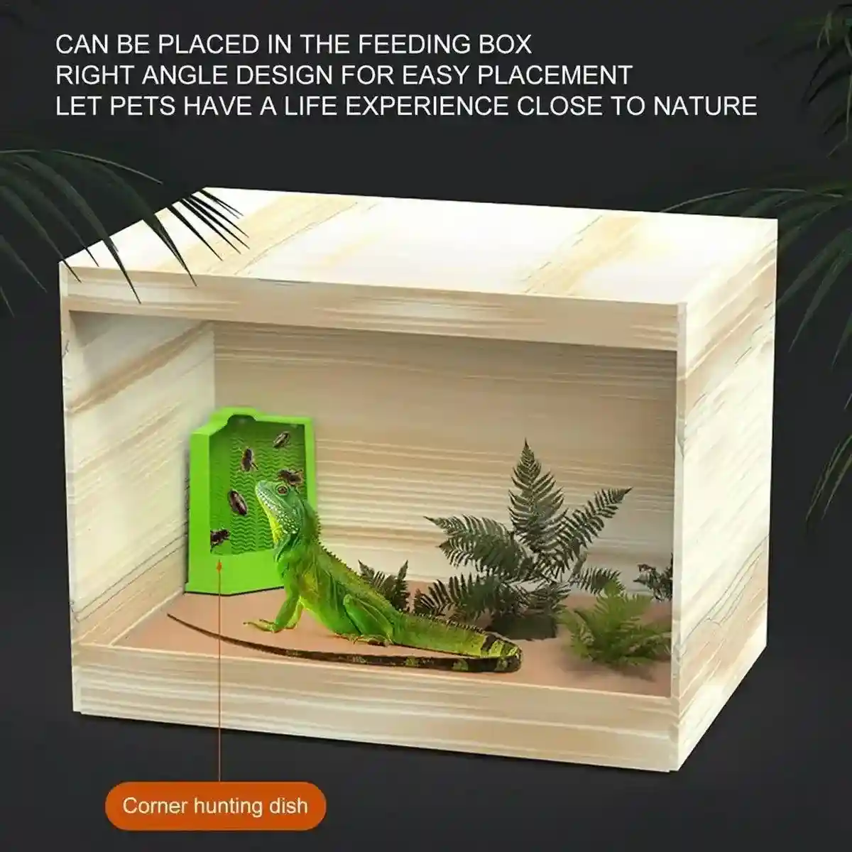 Reptile Hunting Dish Predator Trap Hanging and Placing Field Tool for Outdoors - Image 10