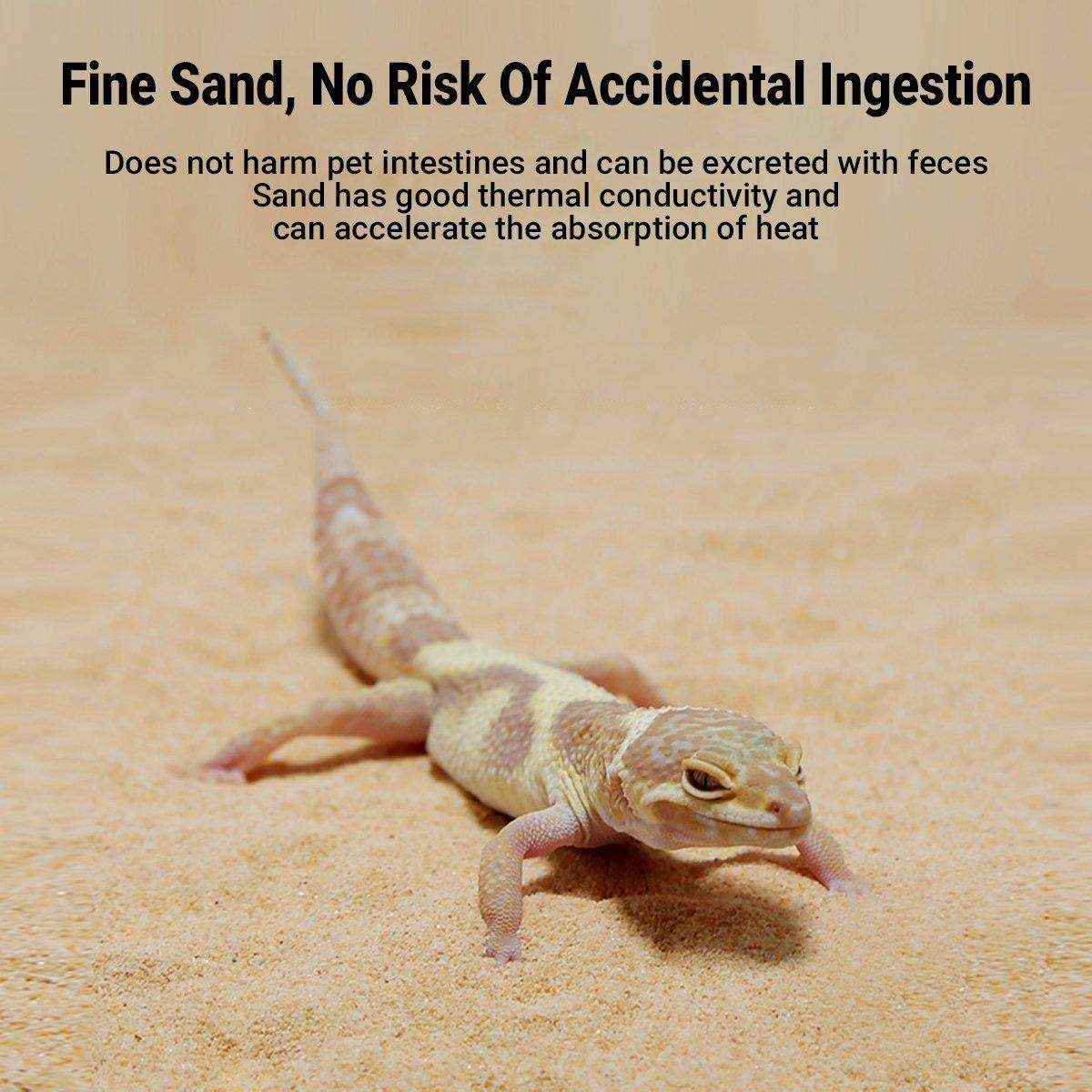 SuperRep Reptile Sand Climbing Sand Calcium Sand for Lizard Tortoise Hibernation - Image 4