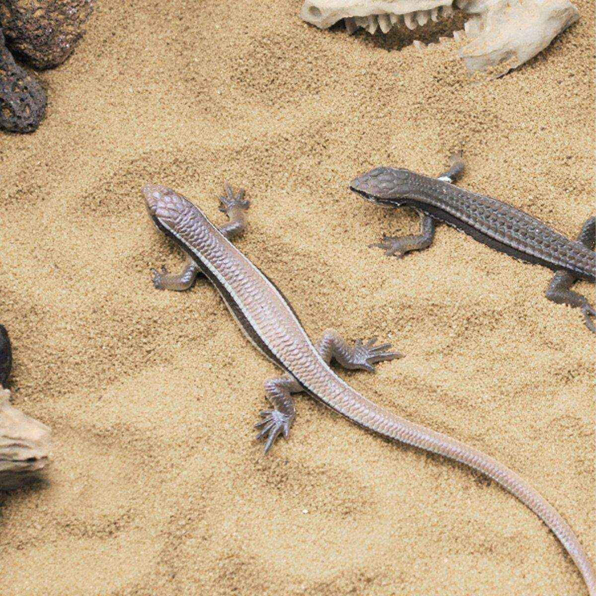 SuperRep Reptile Sand Climbing Sand Calcium Sand for Lizard Tortoise Hibernation - Image 6