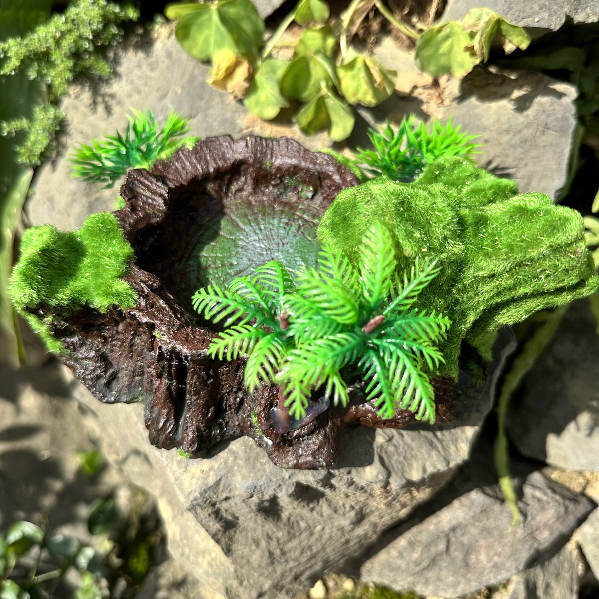 Resin Reptile Water Bowl Feeding Dish - Image 7