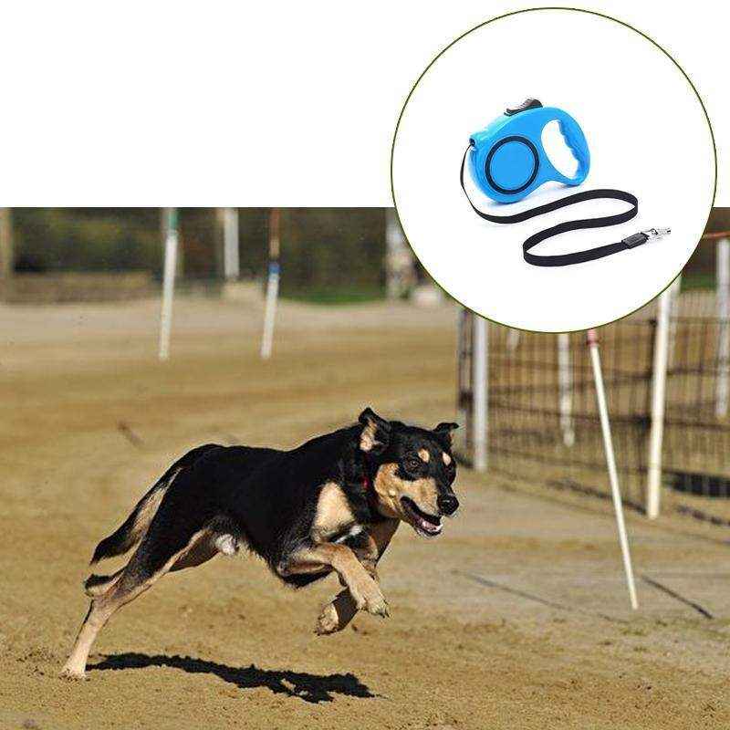 3/5M Retractable Dog Lead Leash Long Stong Extendable Lockable Rope Heavy Duty - Image 2