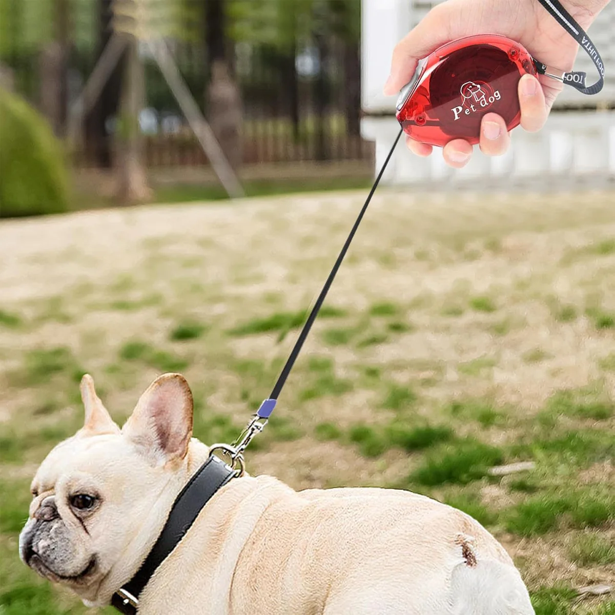 Retractable Dog Leash With One-Button Lock - Image 12