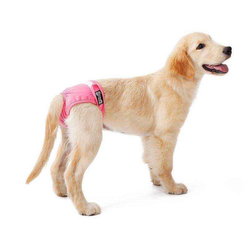 Female Dog Puppy Nappy Diapers Wrap Band Sanitary Pants Underpants XS-XL - Image 9