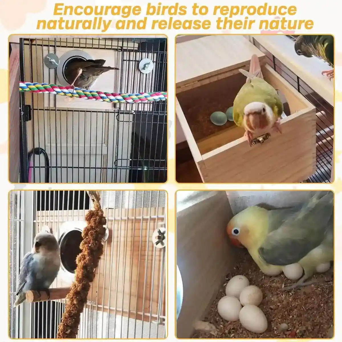 Right Opening Wooden Breeding Box for Small Birds Durable & Spacious - Image 5