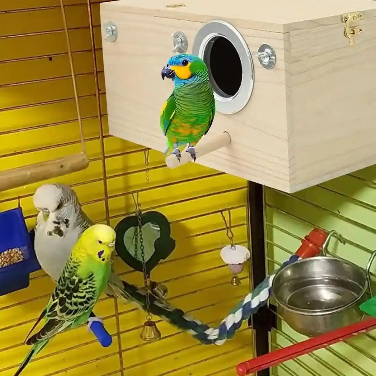 Right Opening Wooden Breeding Box for Small Birds Durable & Spacious - Image 7