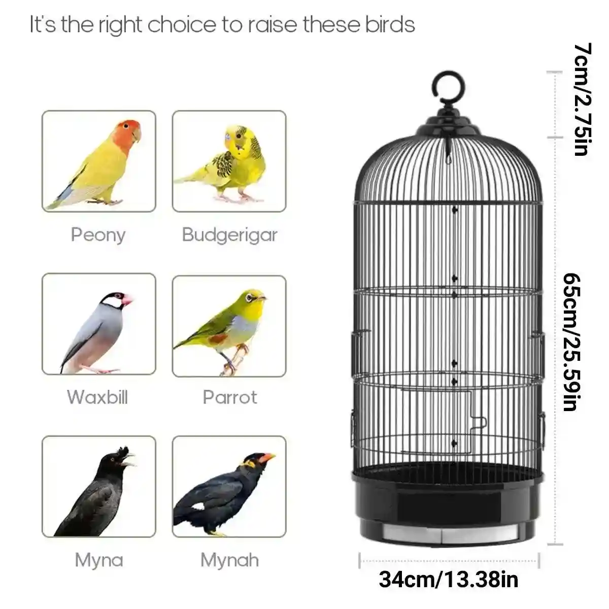 Round Bird Cage Metal Cage Large Pet Birdcage Indoor Outdoor Parrot Hamster - Image 9