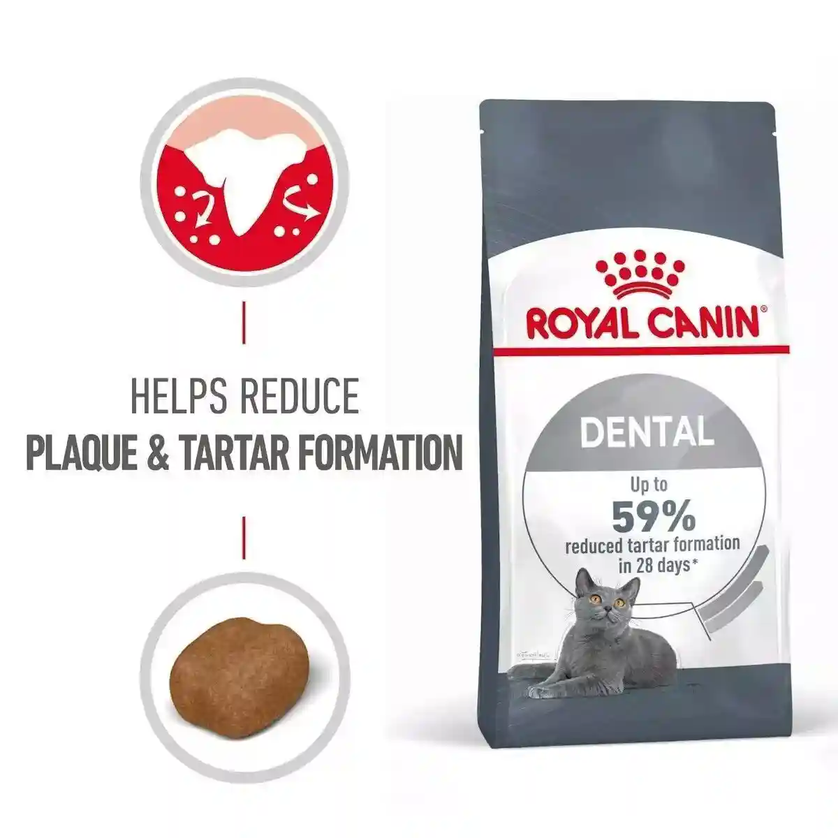 Royal Canin Dental Care Adult Dry Cat Food 400g - Image 2