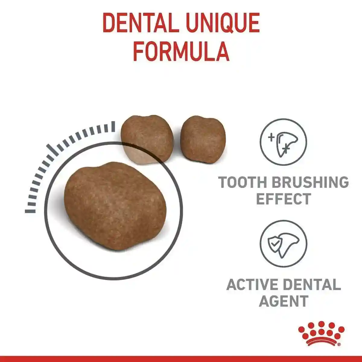 Royal Canin Dental Care Adult Dry Cat Food 400g - Image 3