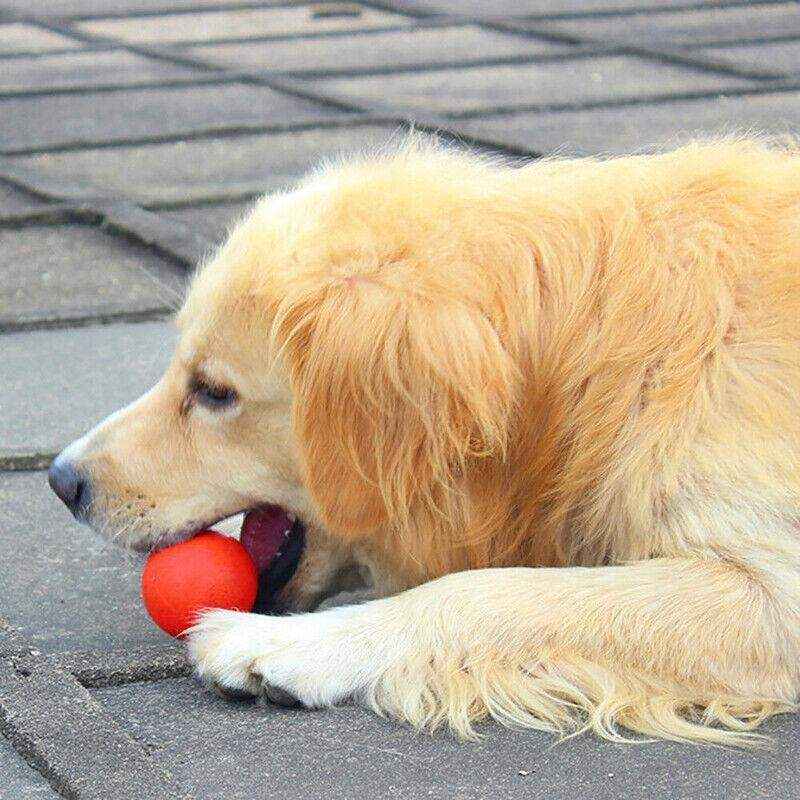 2x Dog Training Toy Rubber Ball 3 Size - Image 10
