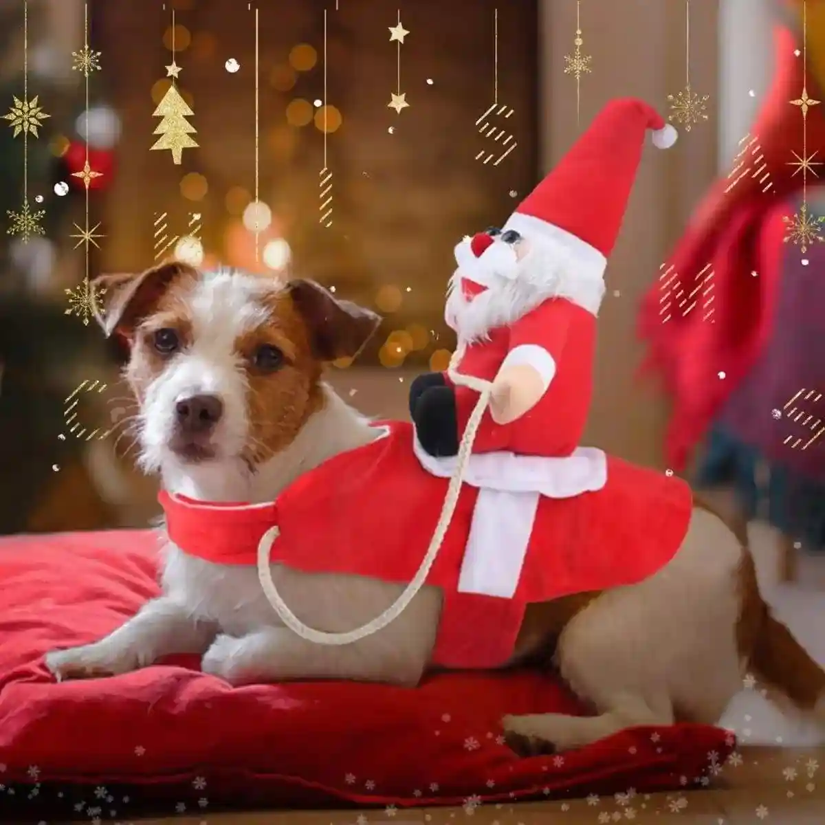 Santa Claus Pet Costume Dog Cat Funny Riding Suit Christmas Holiday Outfit Wear - Image 12