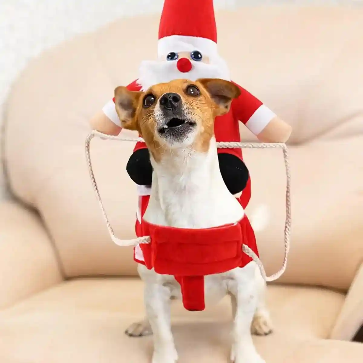 Santa Claus Pet Costume Dog Cat Funny Riding Suit Christmas Holiday Outfit Wear - Image 14