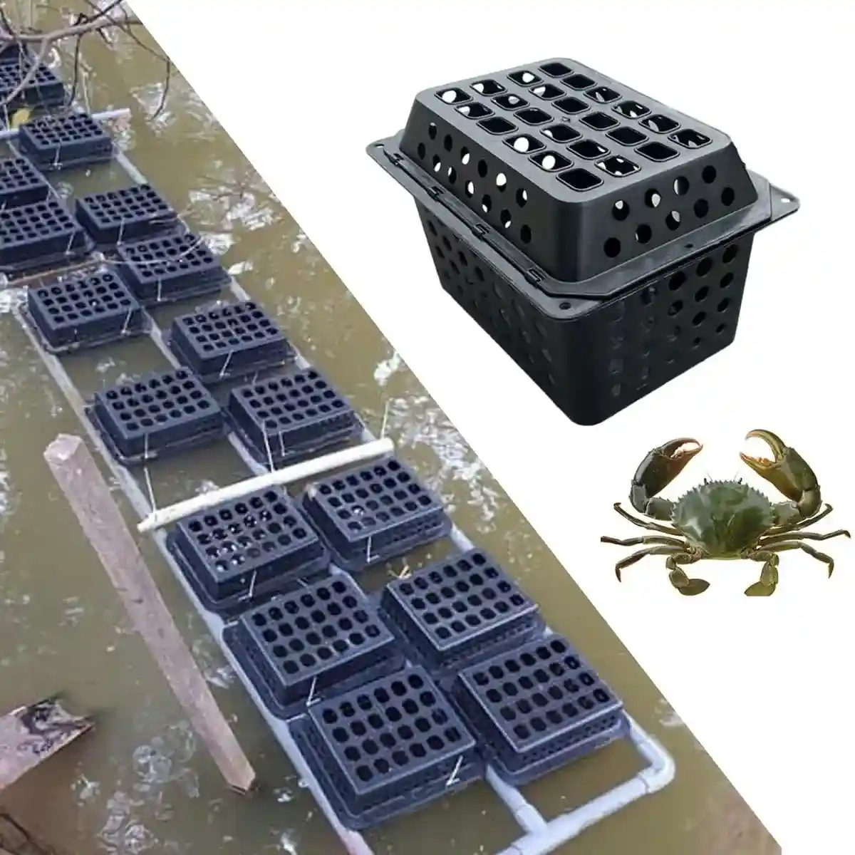 Aquaculture Seafood Breeding Cage for Crabs & Shellfish - Image 8